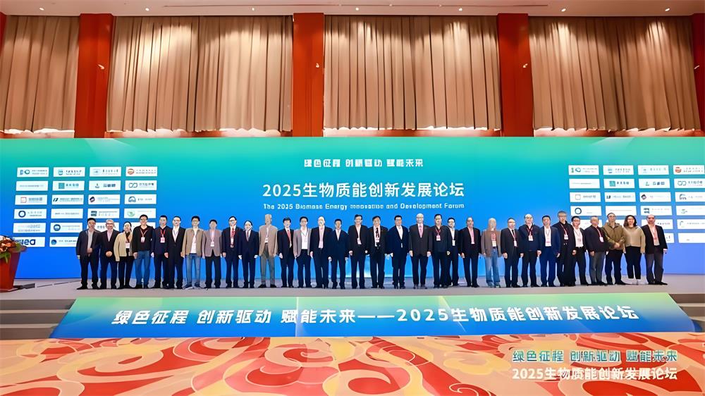 生物質能產業(yè)跨越式發(fā)展：直燃技術破局碳中和新路徑